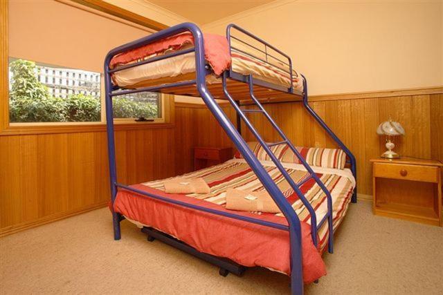 Apollo Bay Backpackers Lodge Pokoj fotografie
